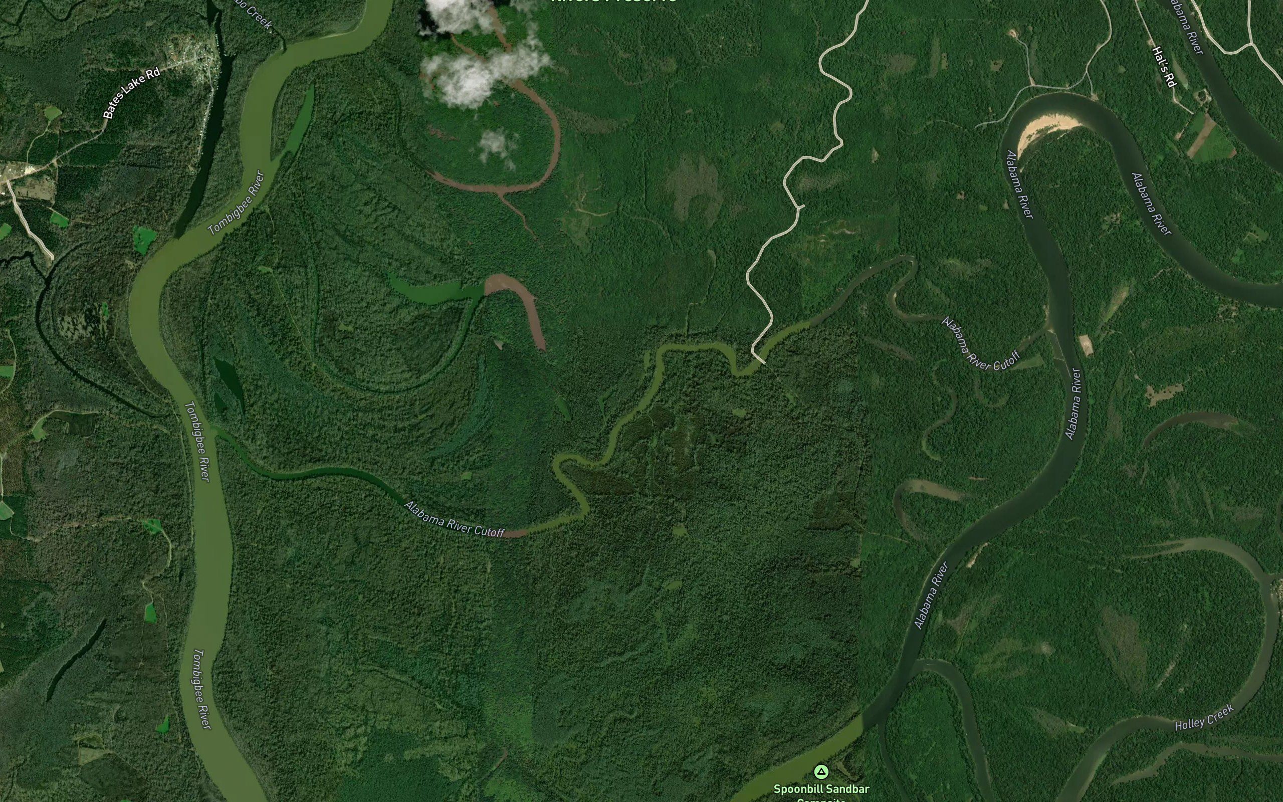 Alabama River Cutoff