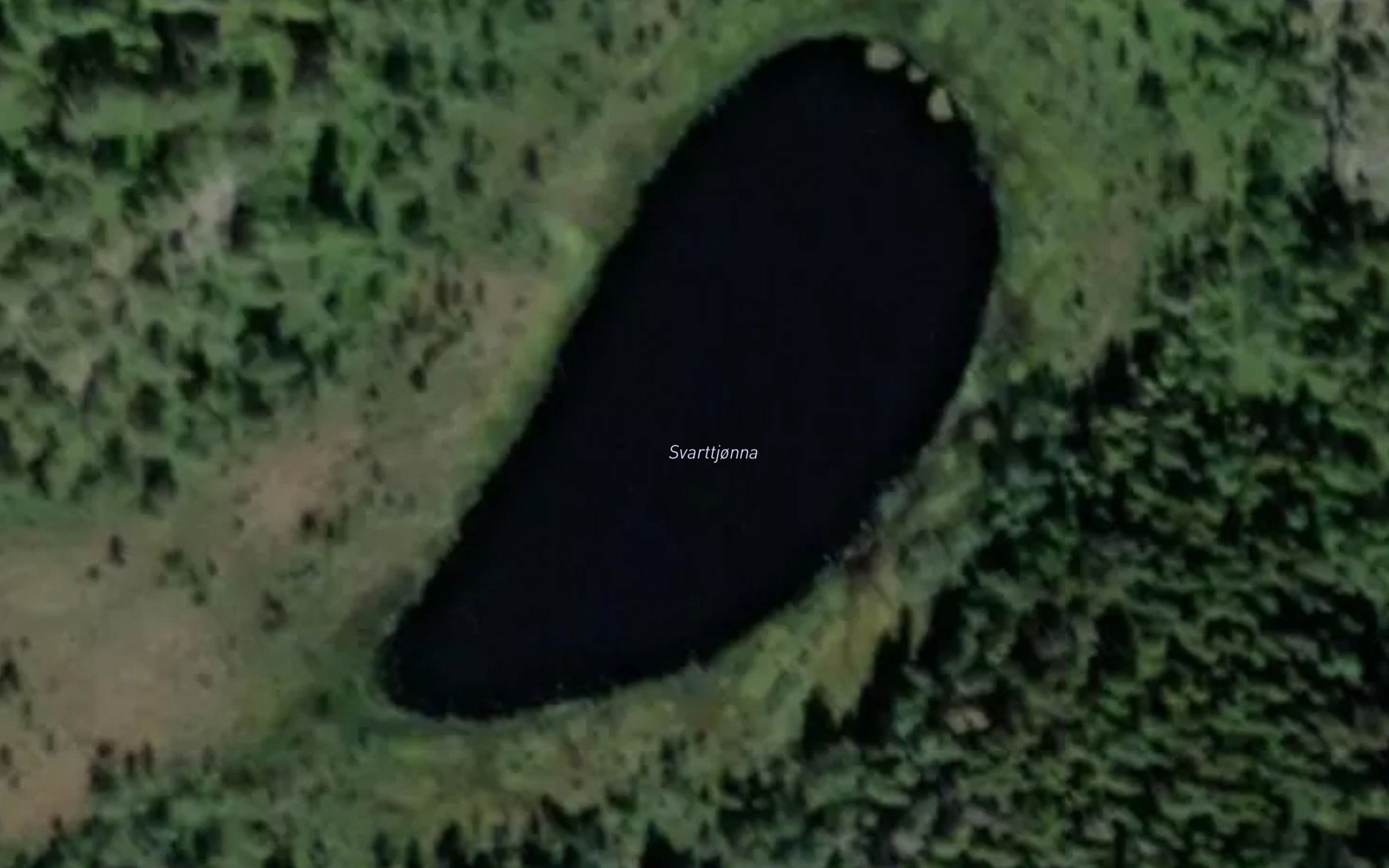 Svarttjorna