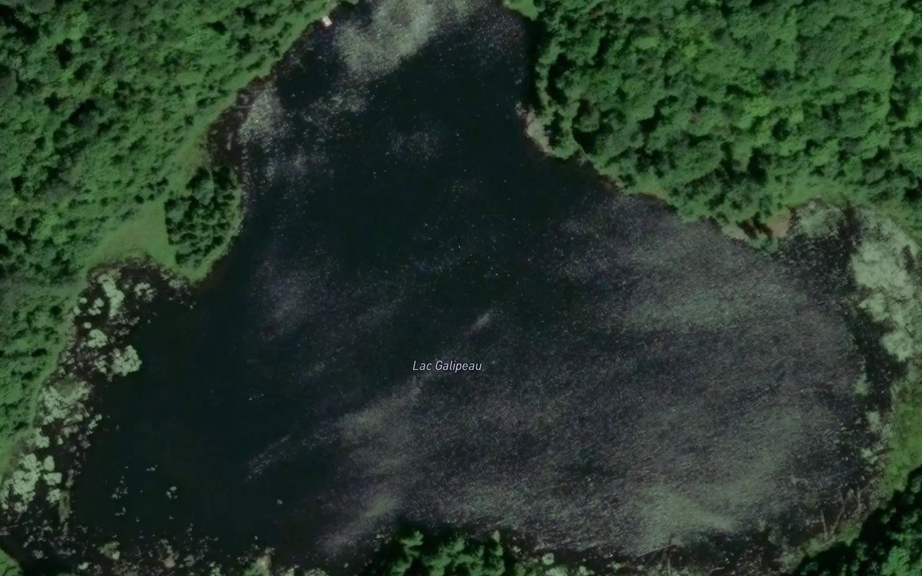 Satellite map of the Lac Galipeau