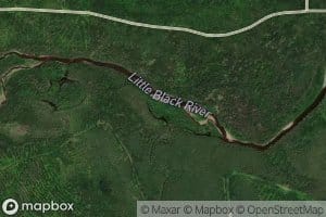 Whitney Brook