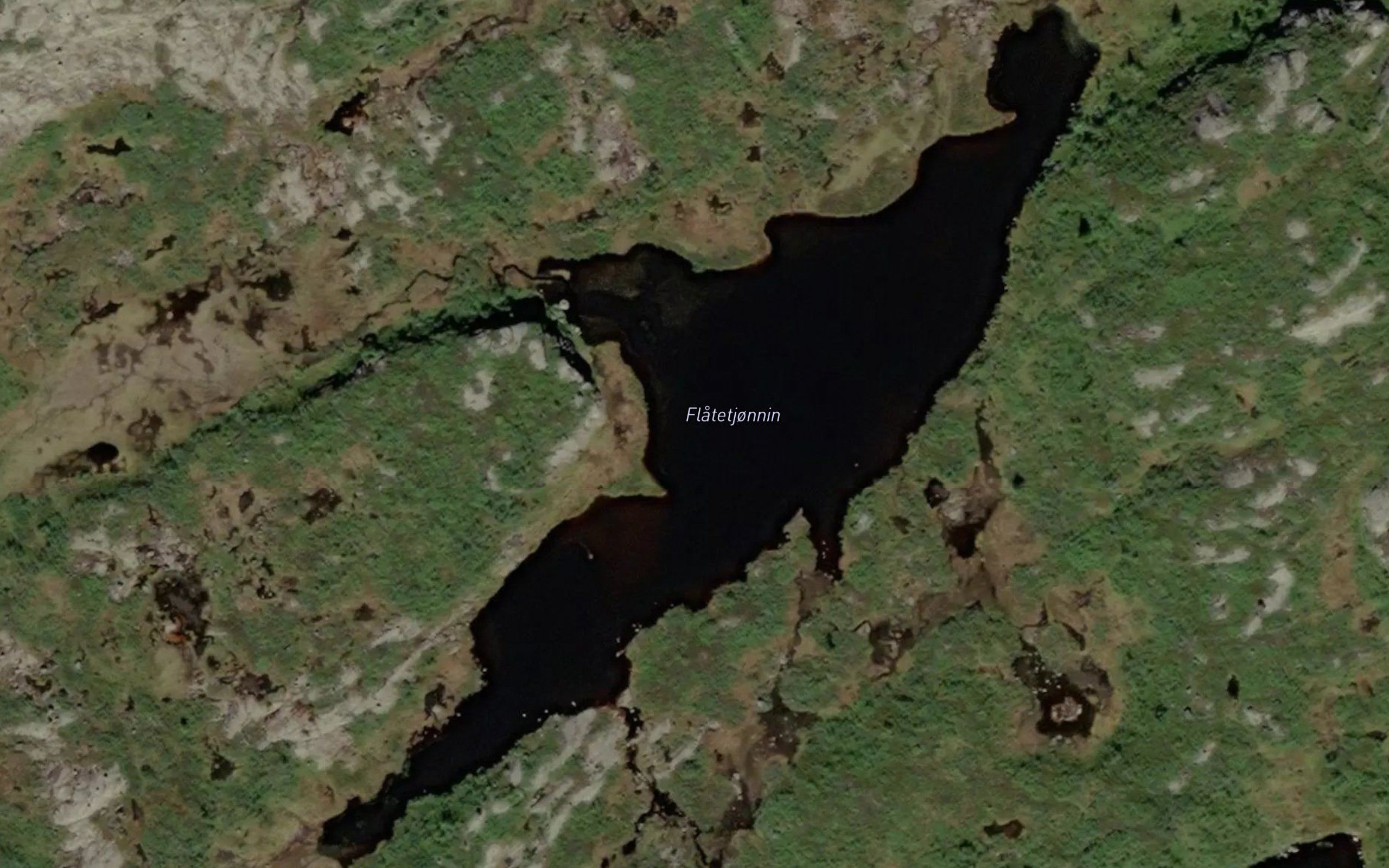Flatetjornin