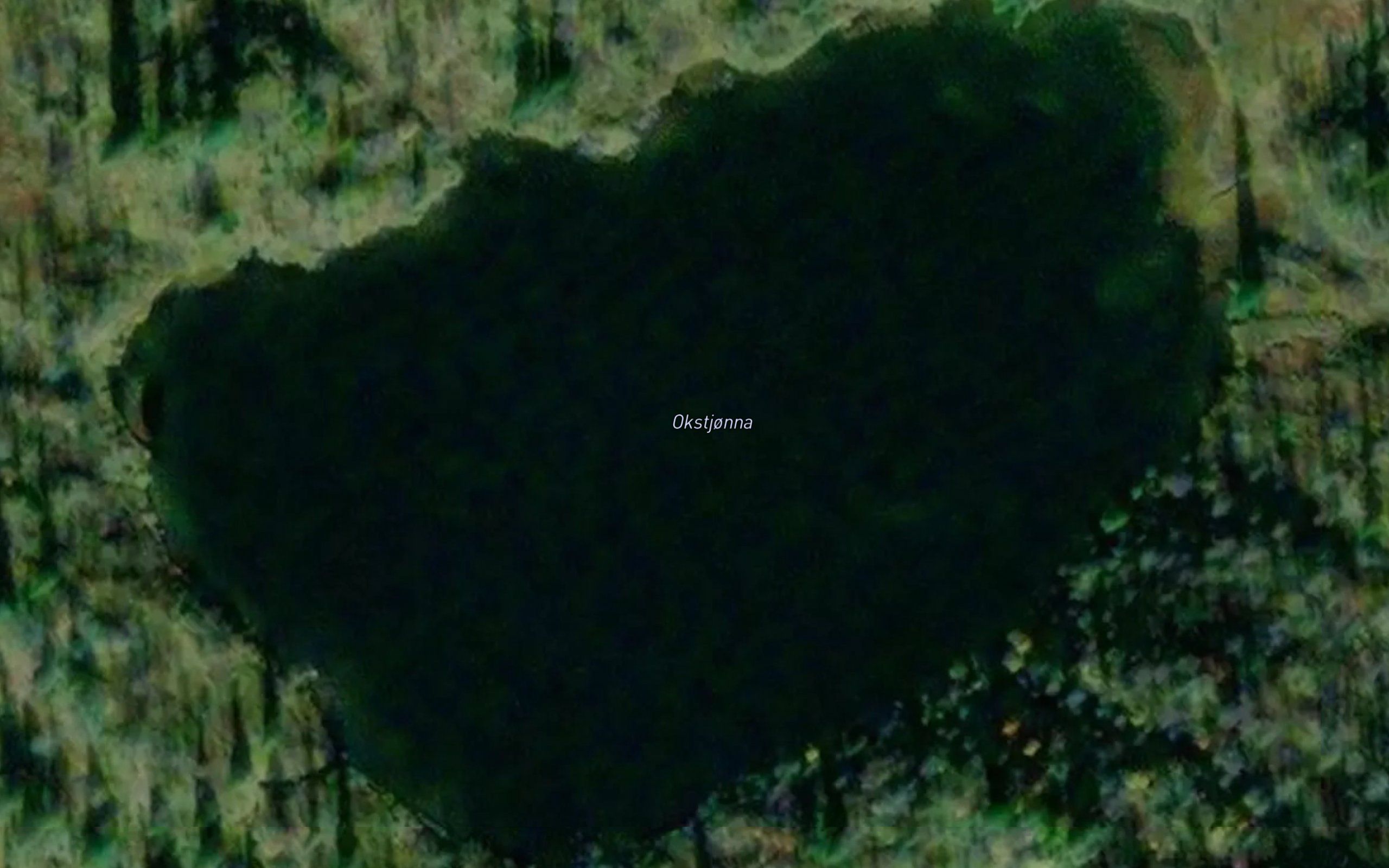 Okstjorna