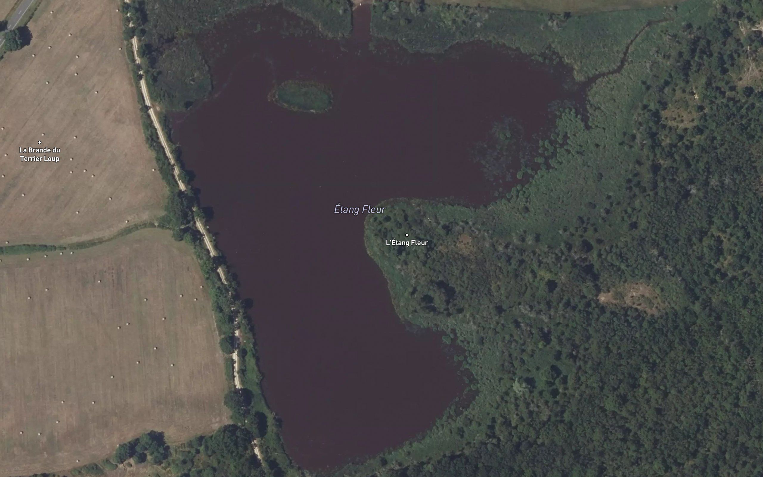 Etang Fleur