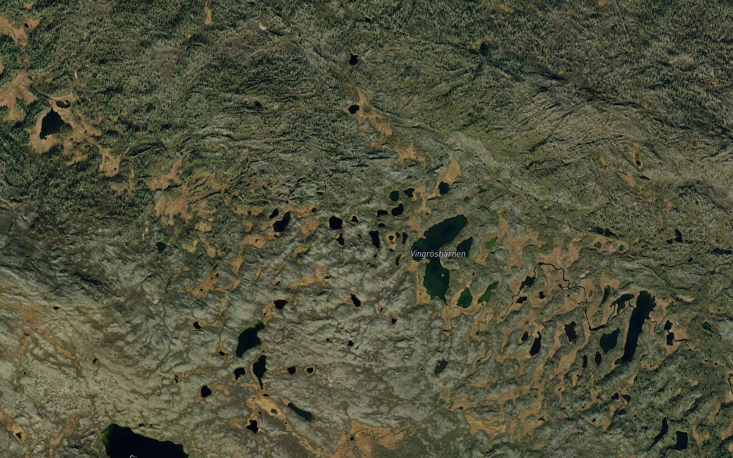 Vinnrosttjarn