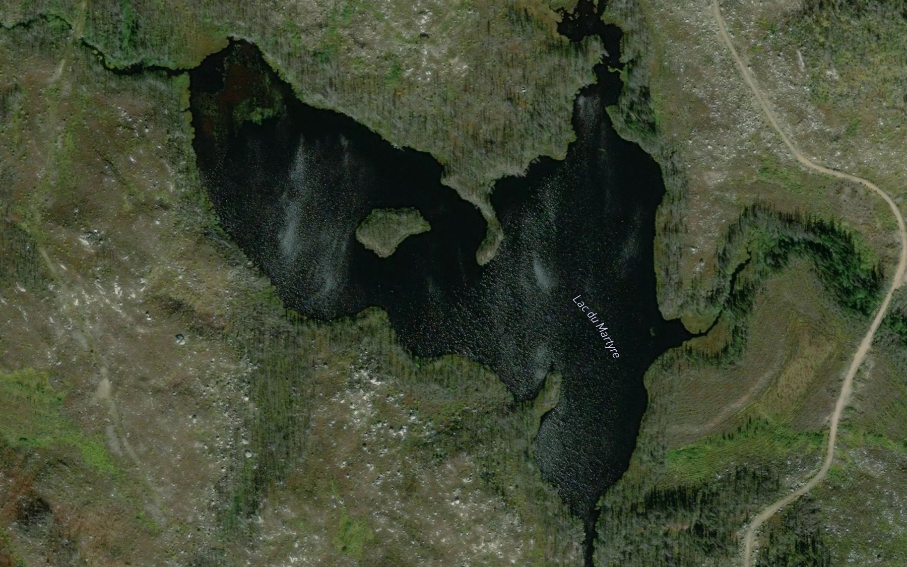 Satellite map of the Lac du Martyre