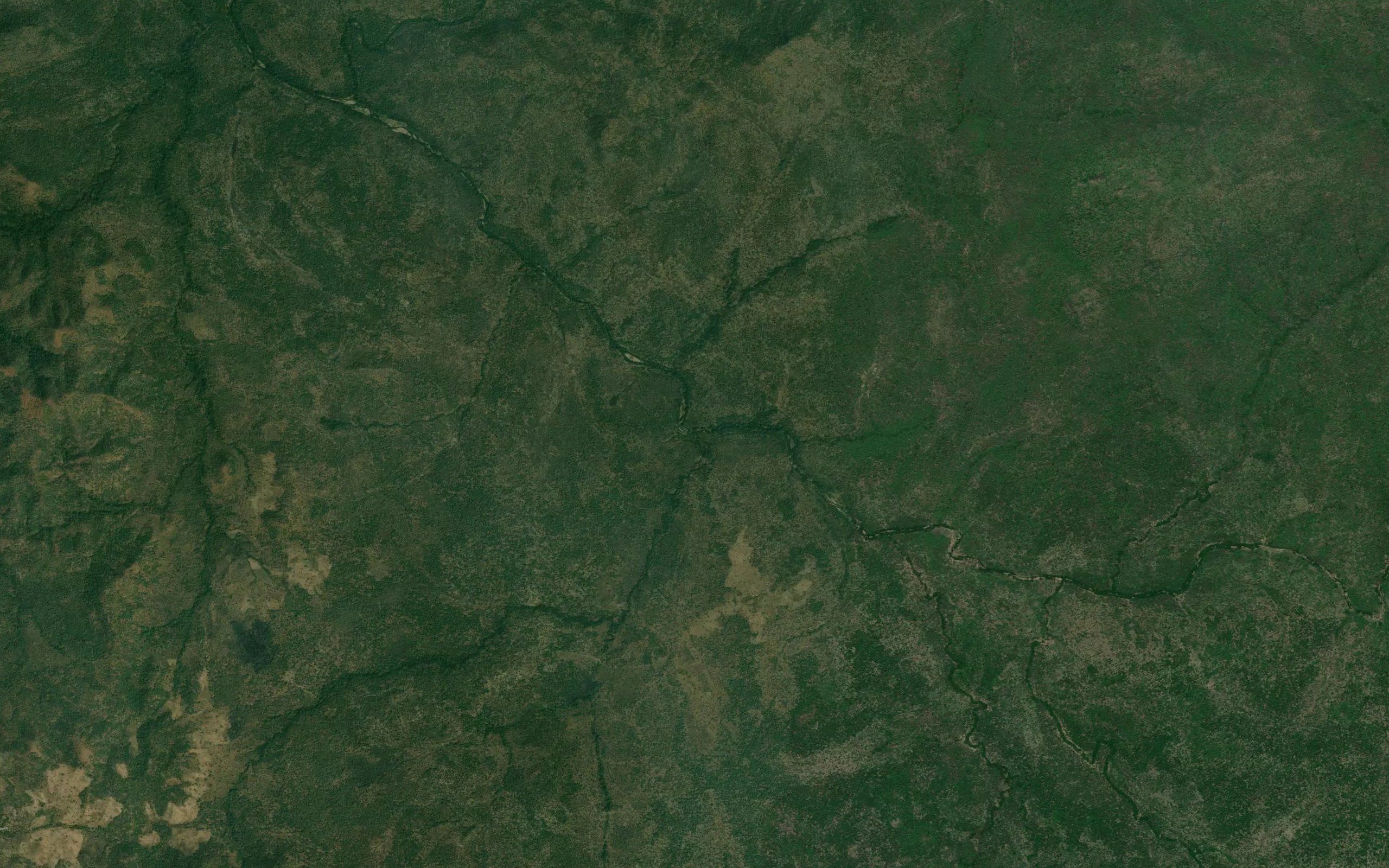 RiverRumen