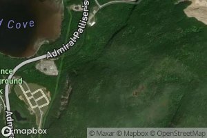 Satellite map of the Wild Cove Brook