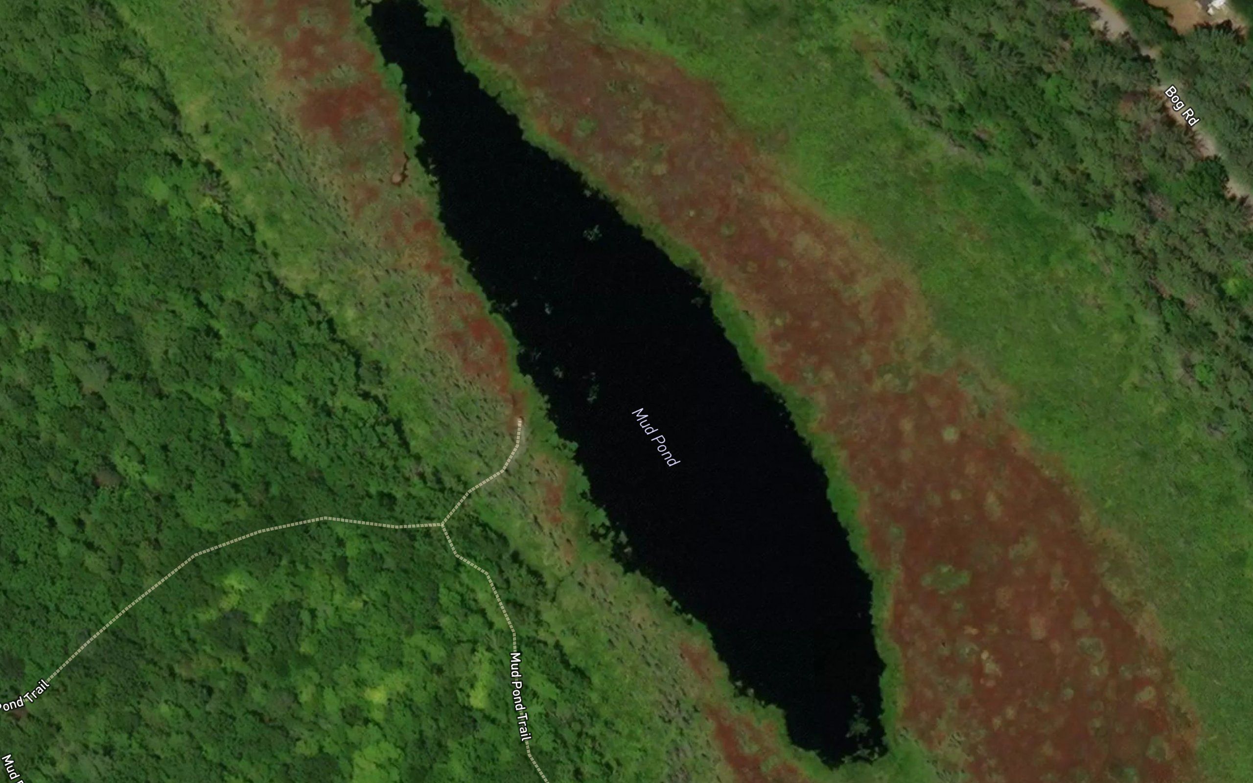 Mud Pond