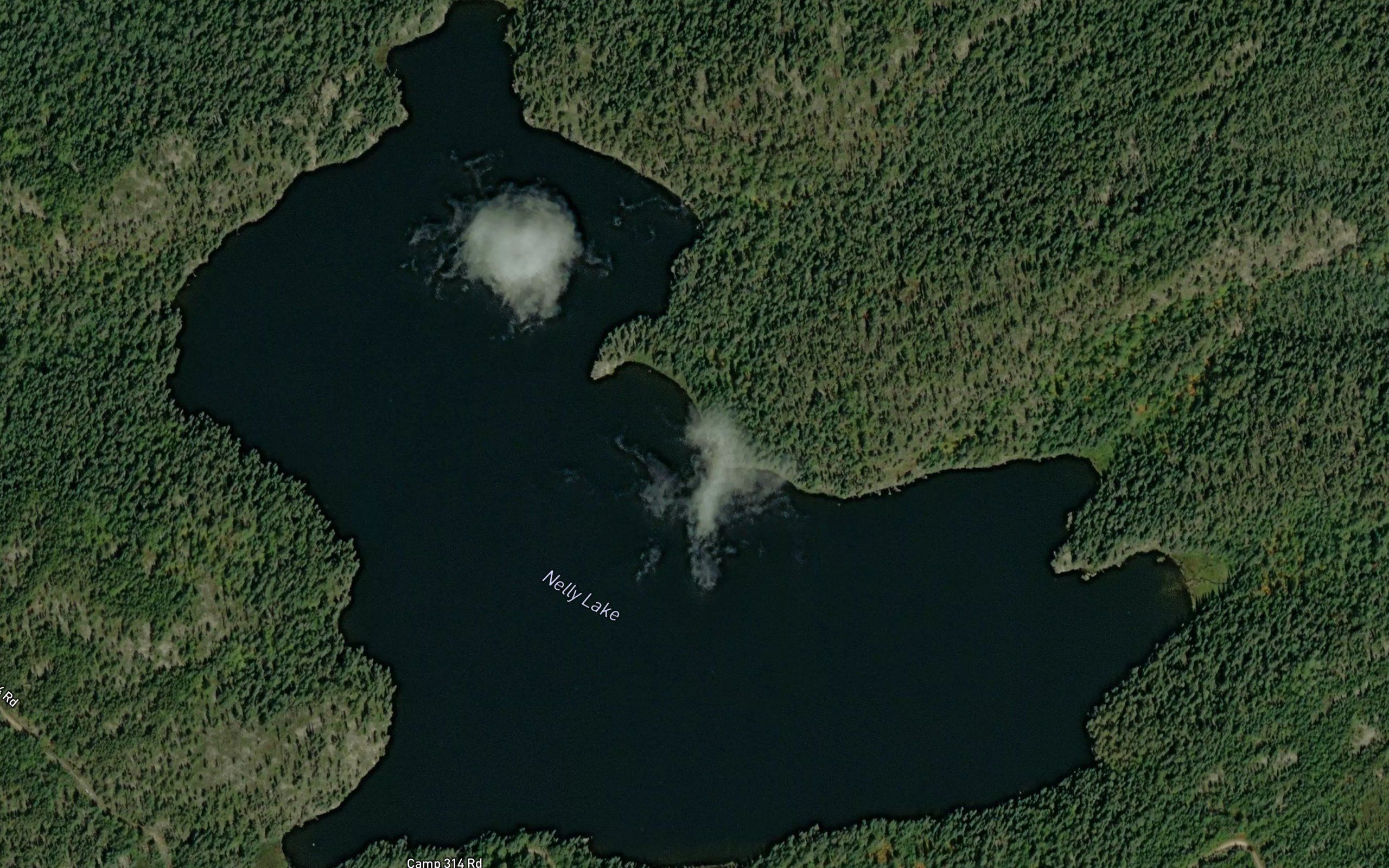 Nelly Lake