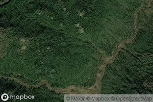 Root Creek