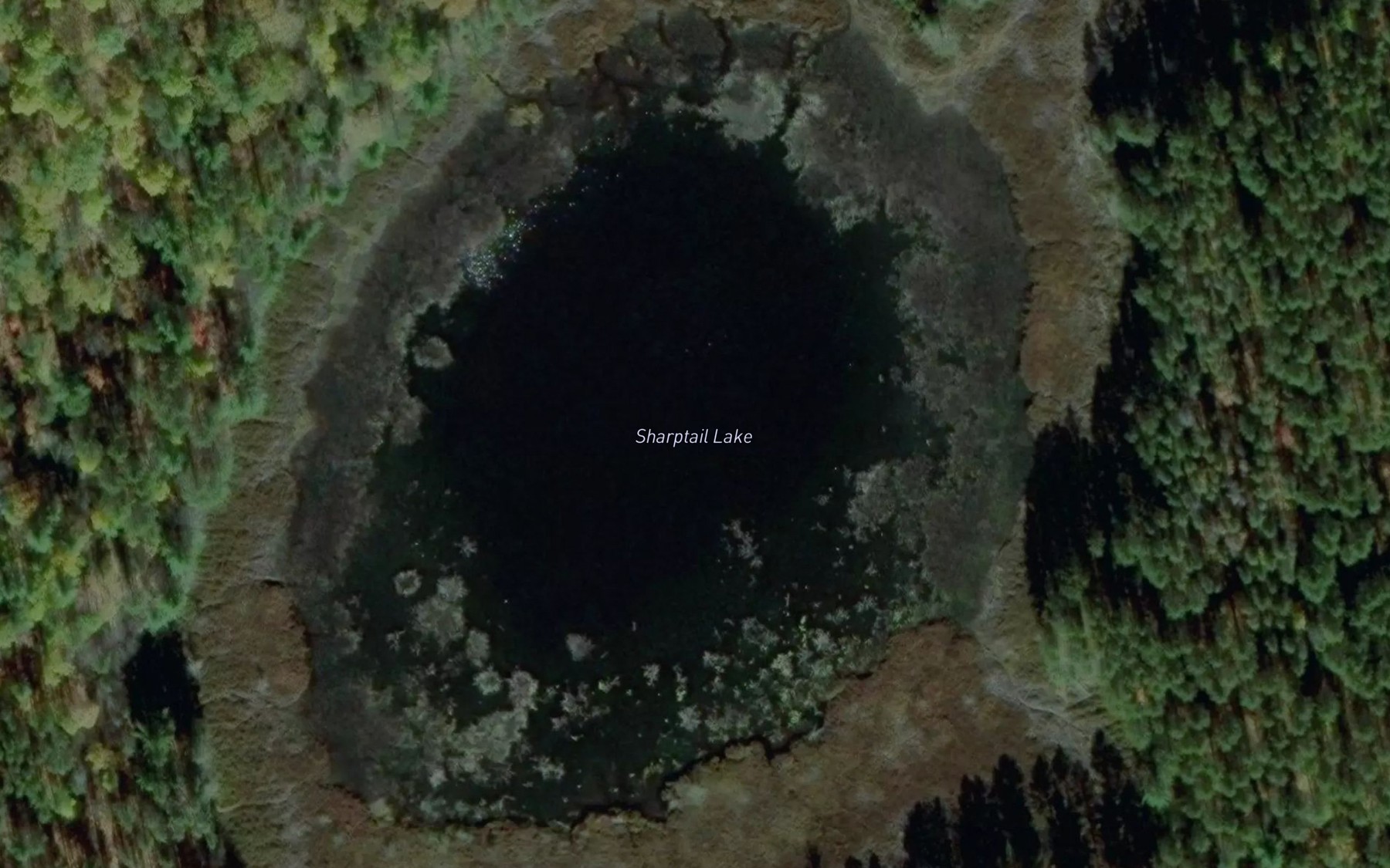 Satellite map of the Sharptail Lake