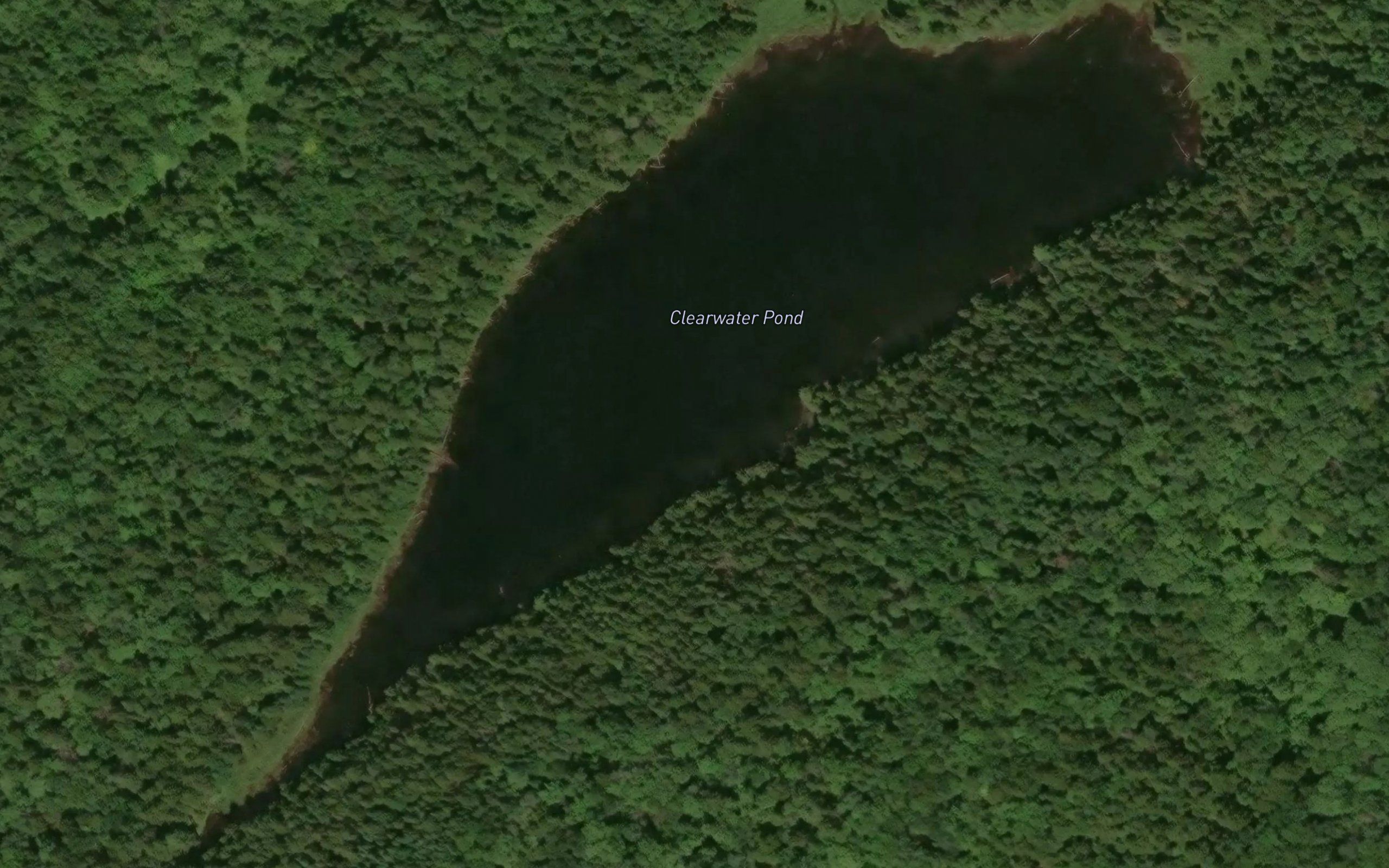 Clearwater Pond