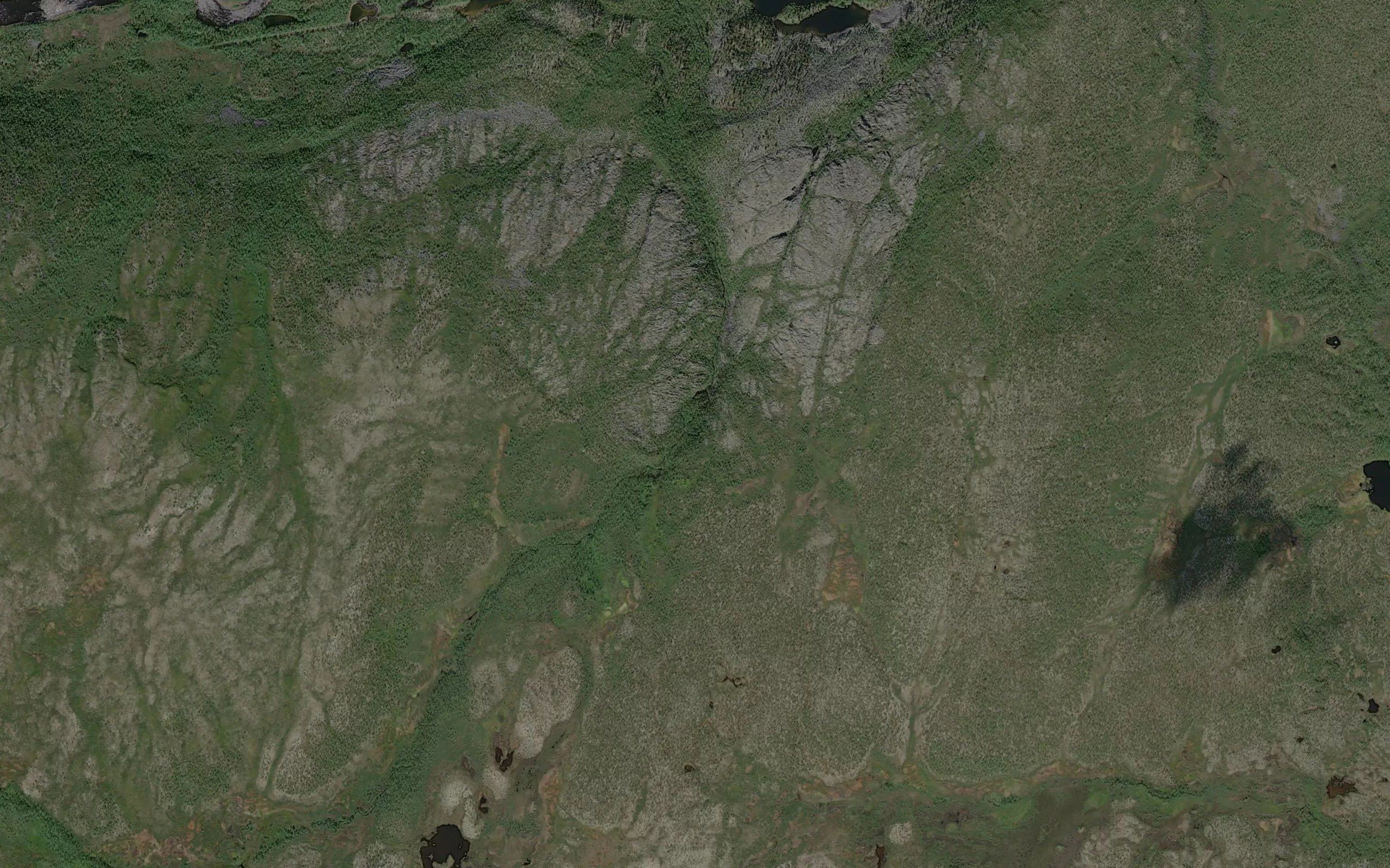 Baejalgnajakka