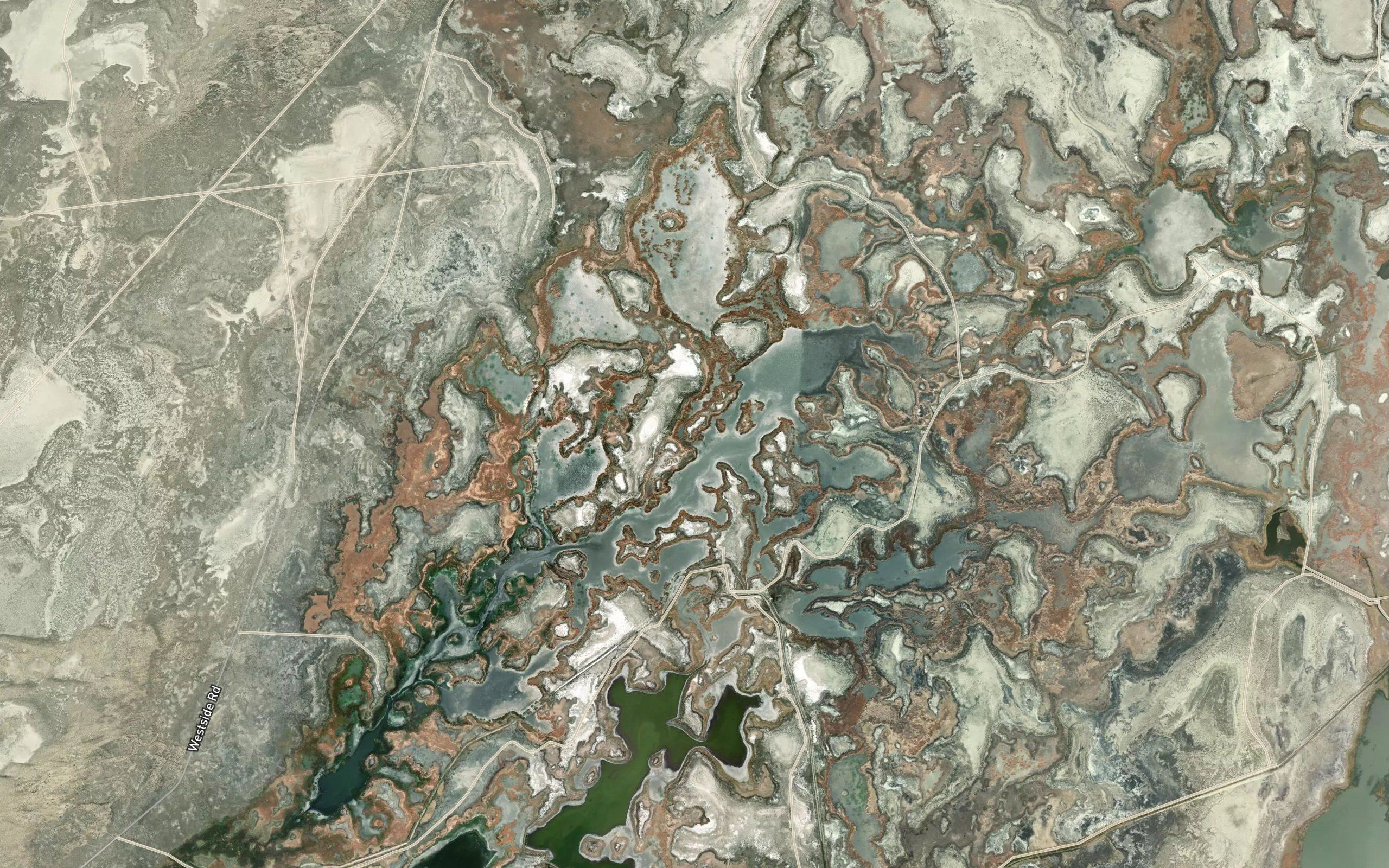 Willow Lake