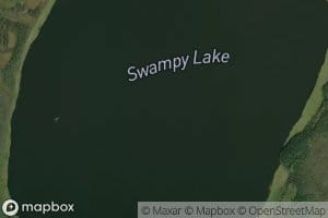 Swampy Lake