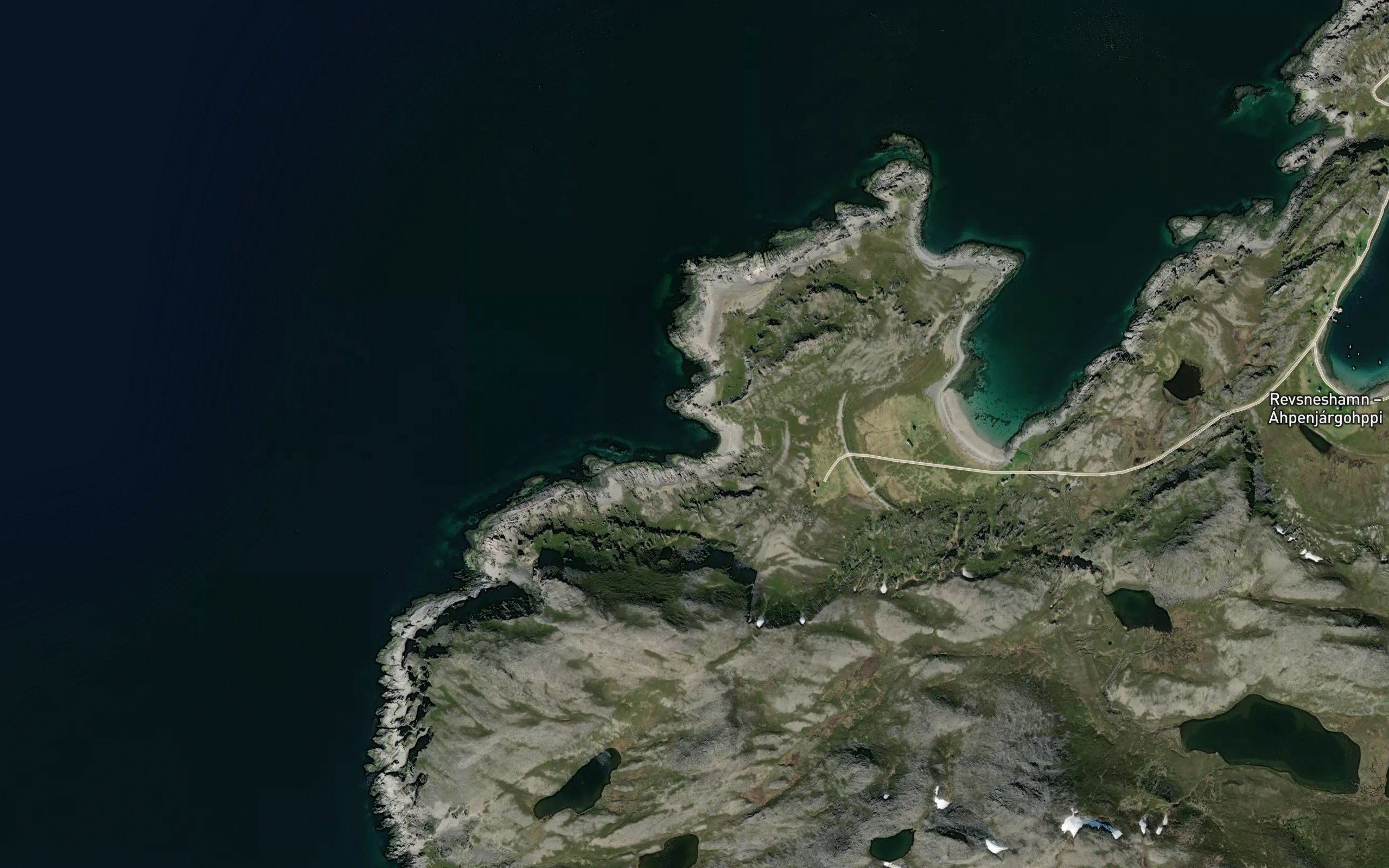 Rekvika