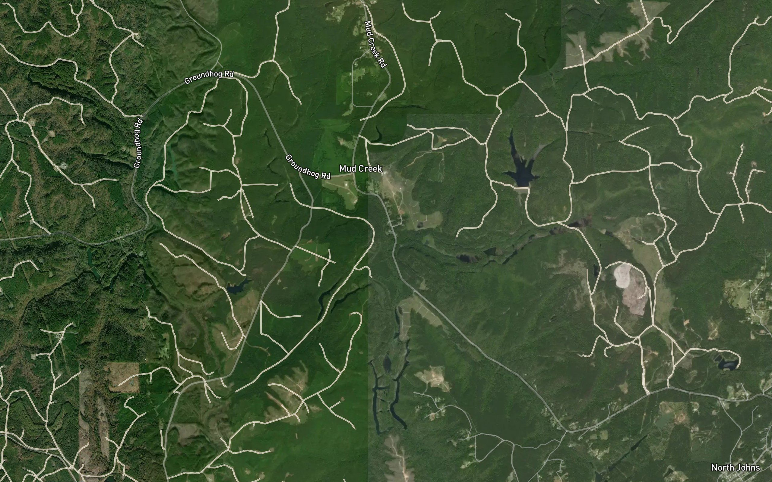 Dick Gut Branch
