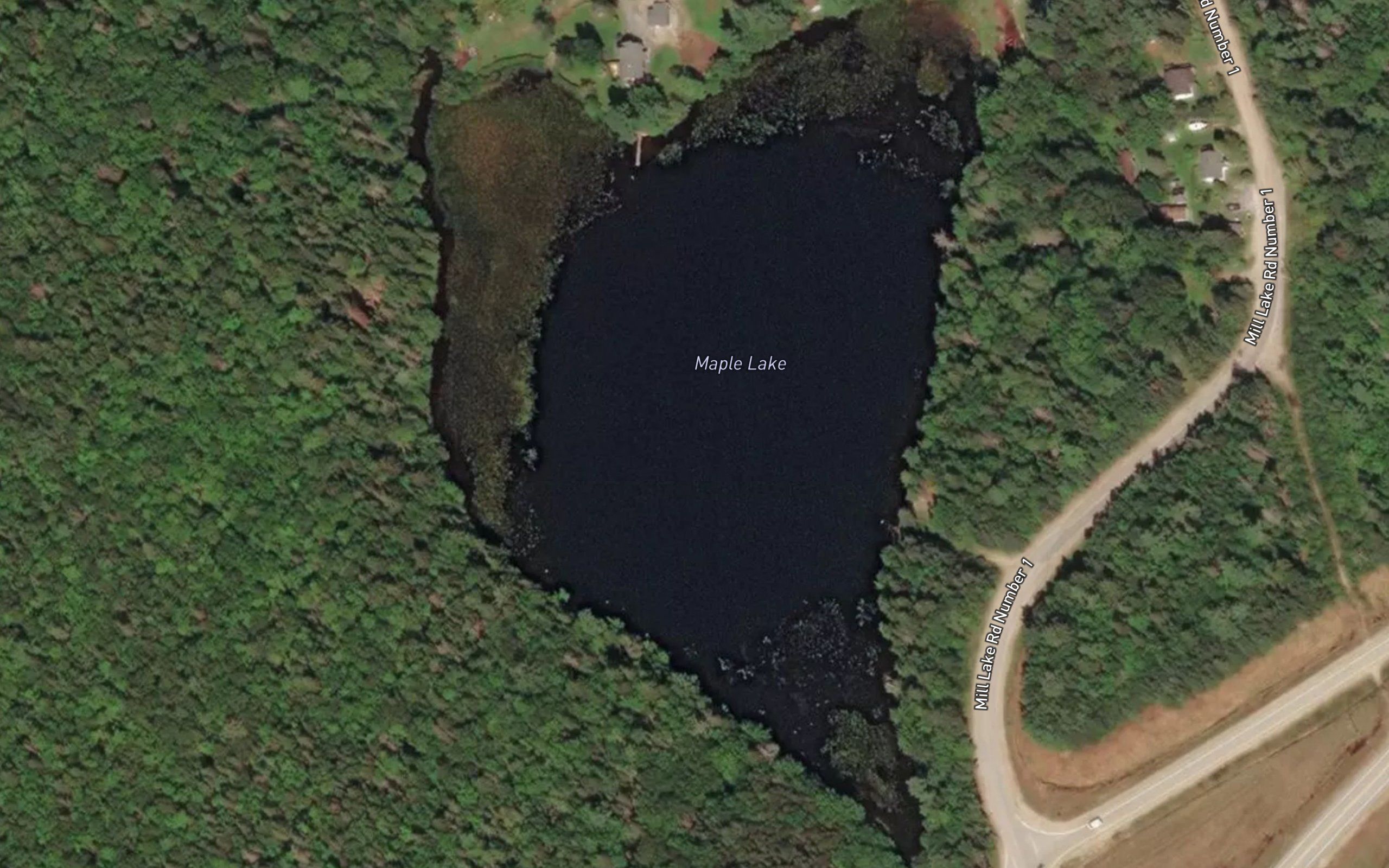 Maple Lake