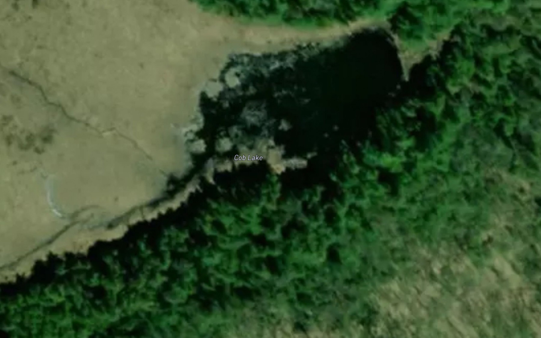 Satellite map of the Cob Lake