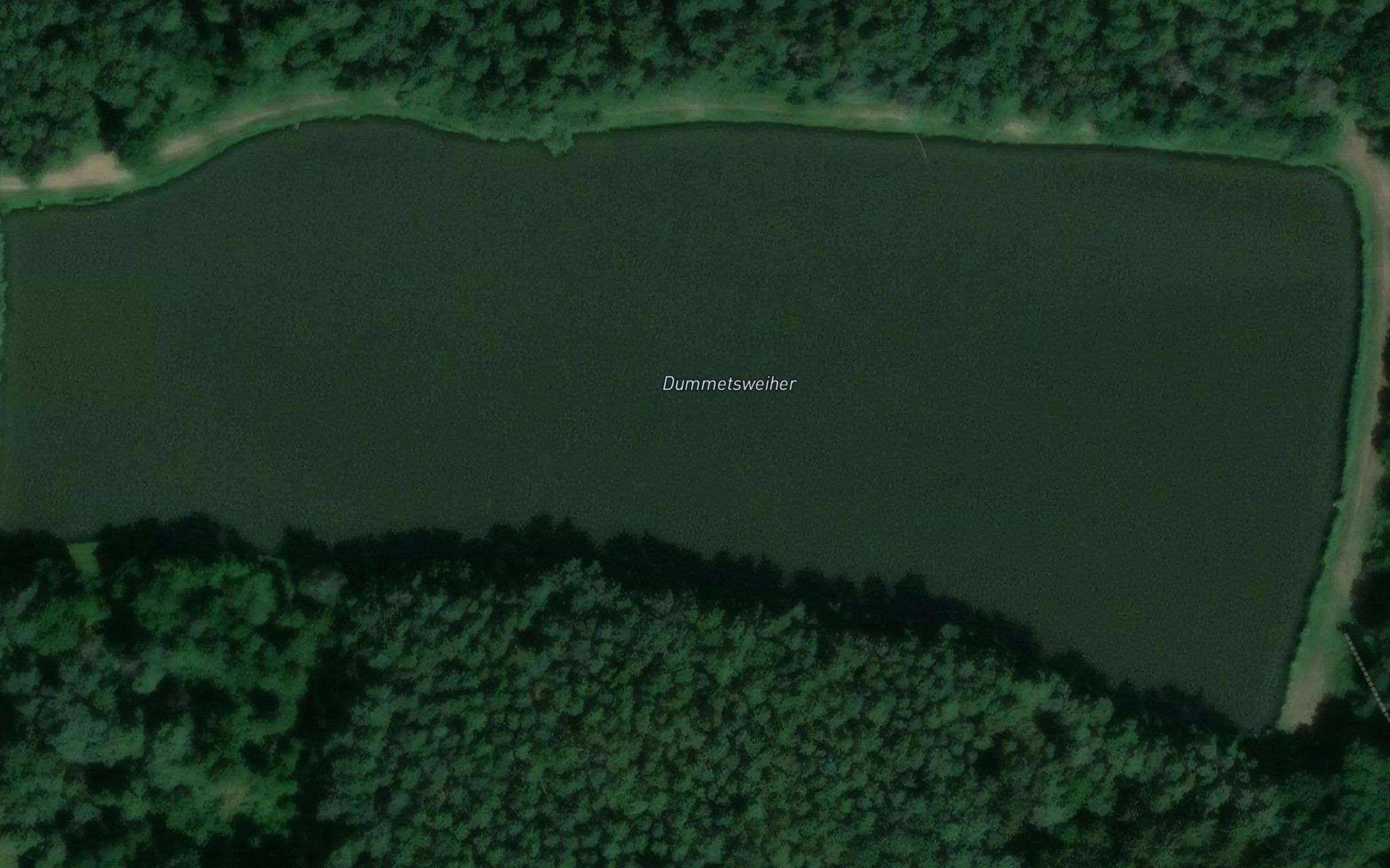 Dummetsweiher