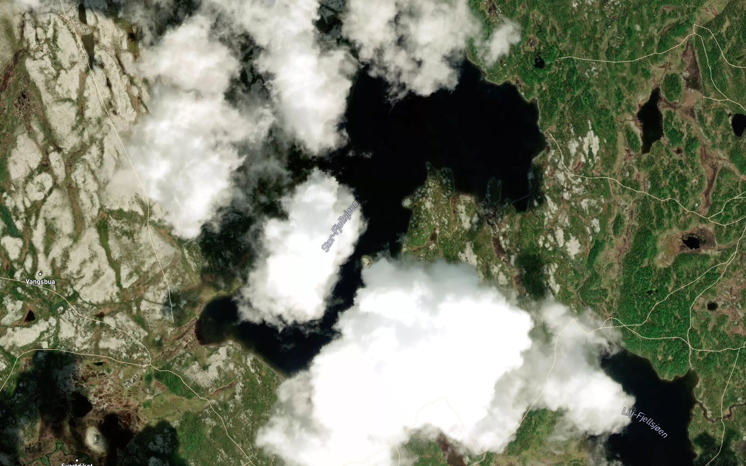 Fjellsjoen
