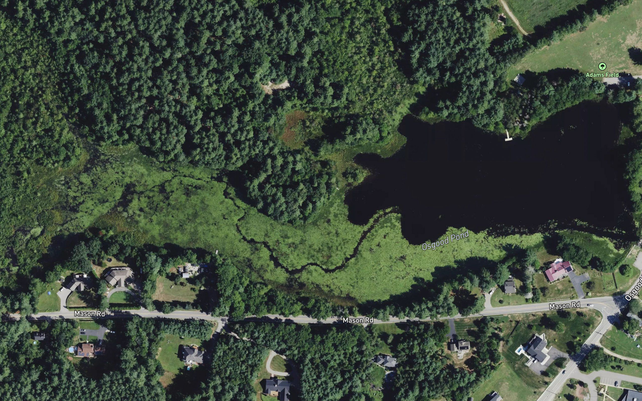 Osgood Pond