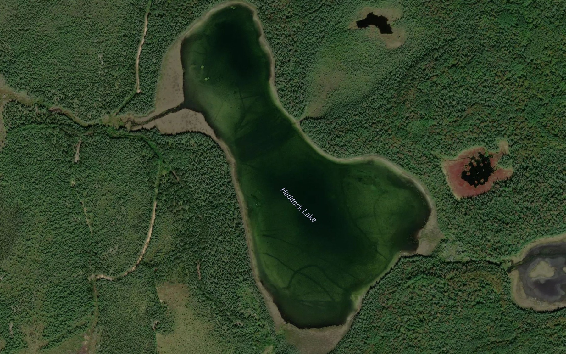 Satellite map of the Haddock Lake