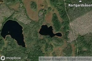 Gjeddtjernet