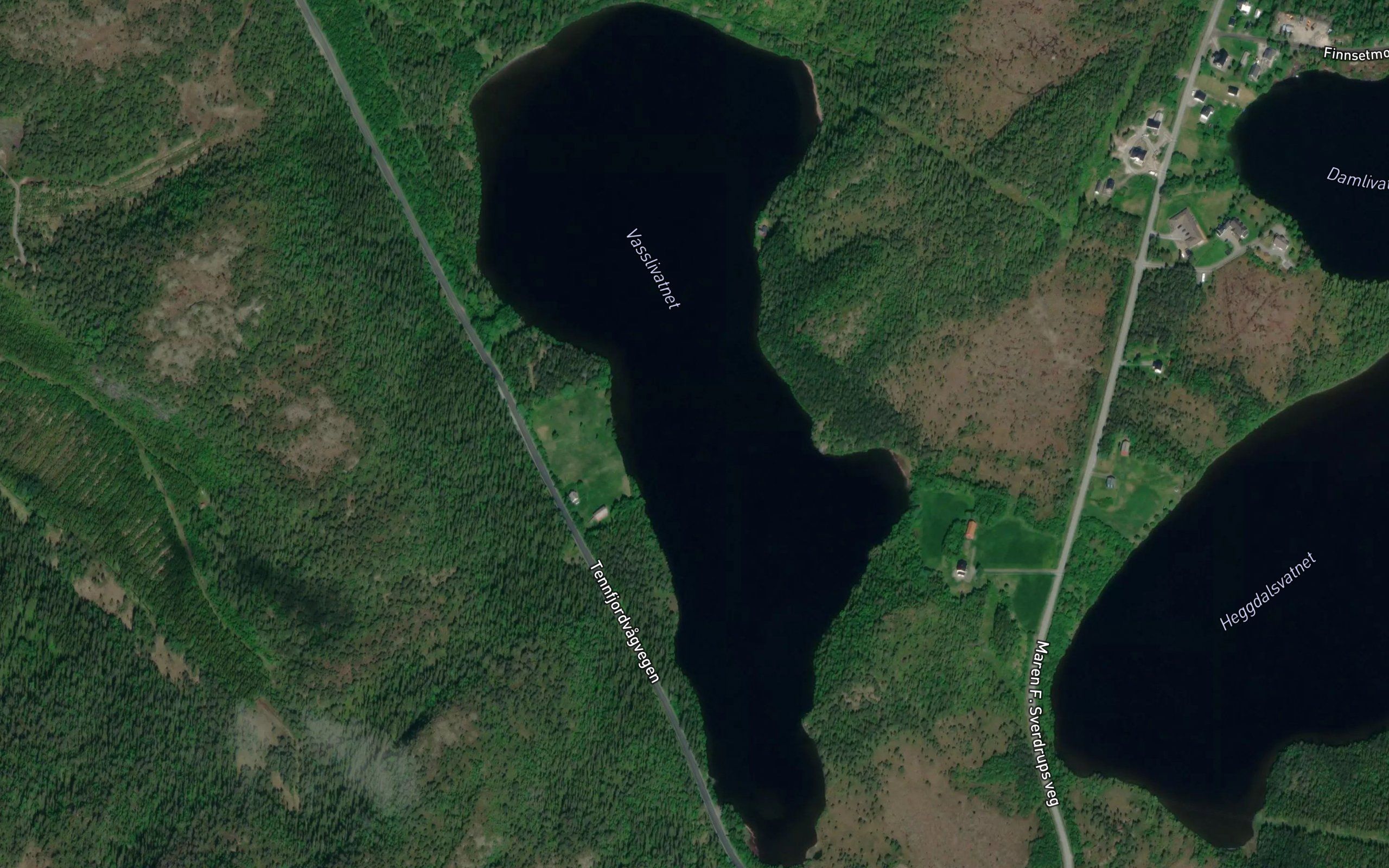 Vasslivatnet