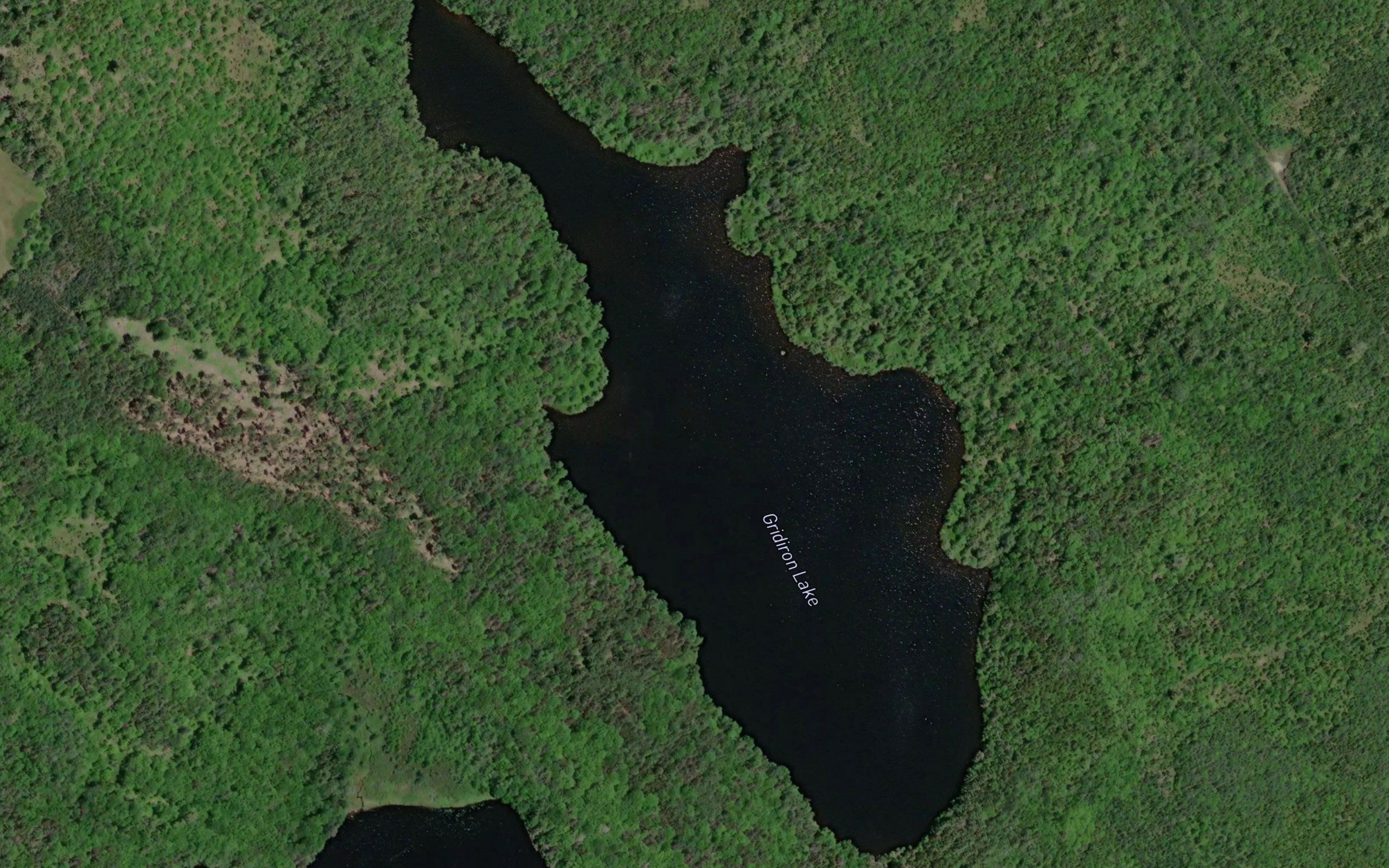 Gridiron Lake