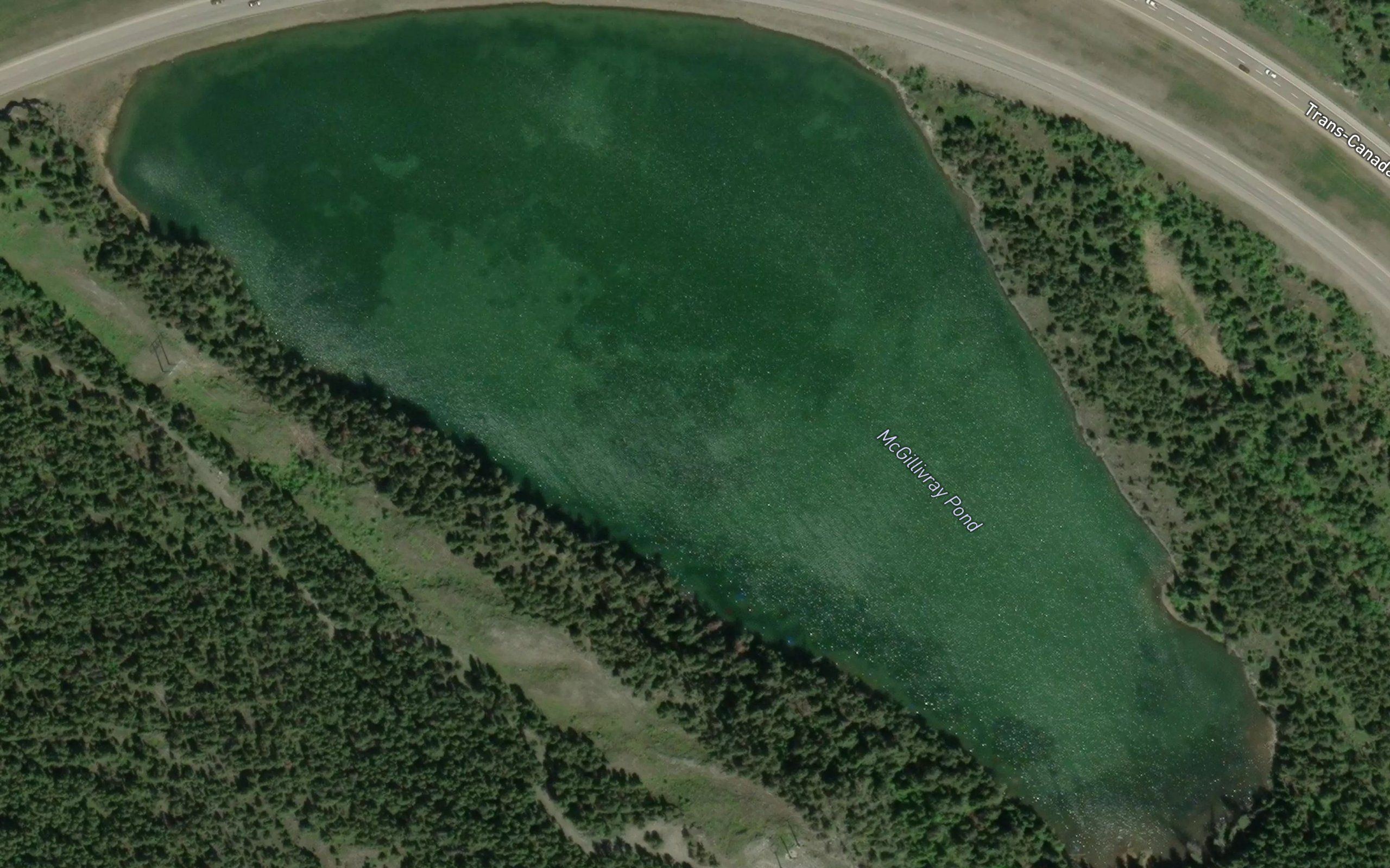McGillivray Pond