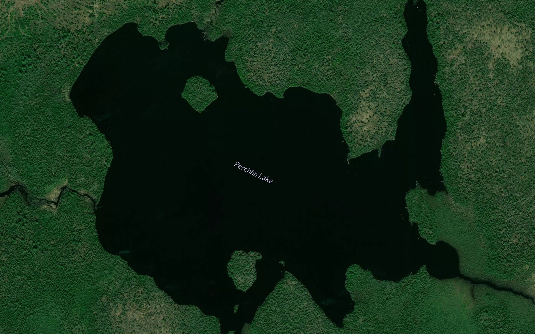 Satellite map of the Perchfin Lake