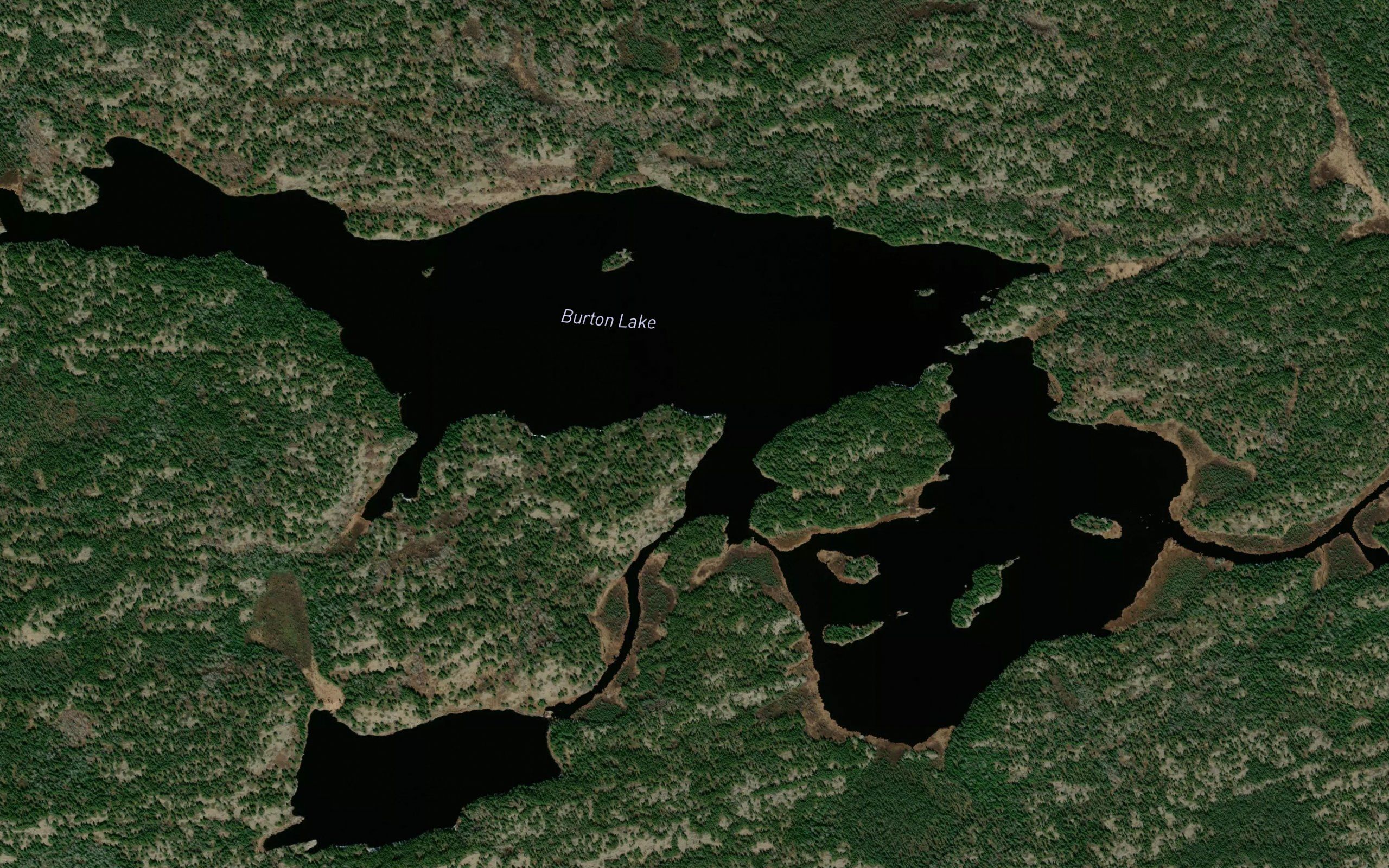Burton Lake