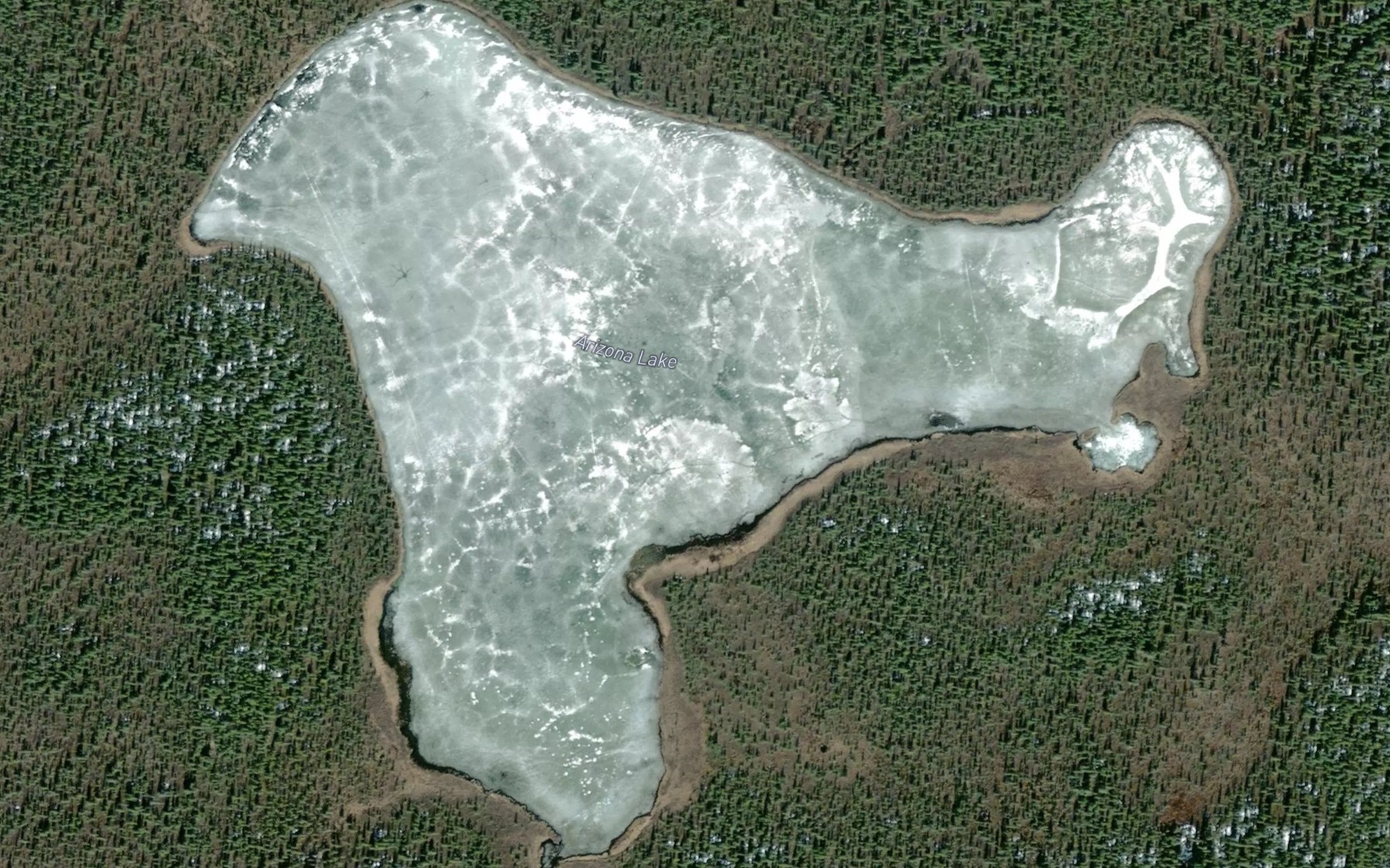 Satellite map of the Arizona Lake
