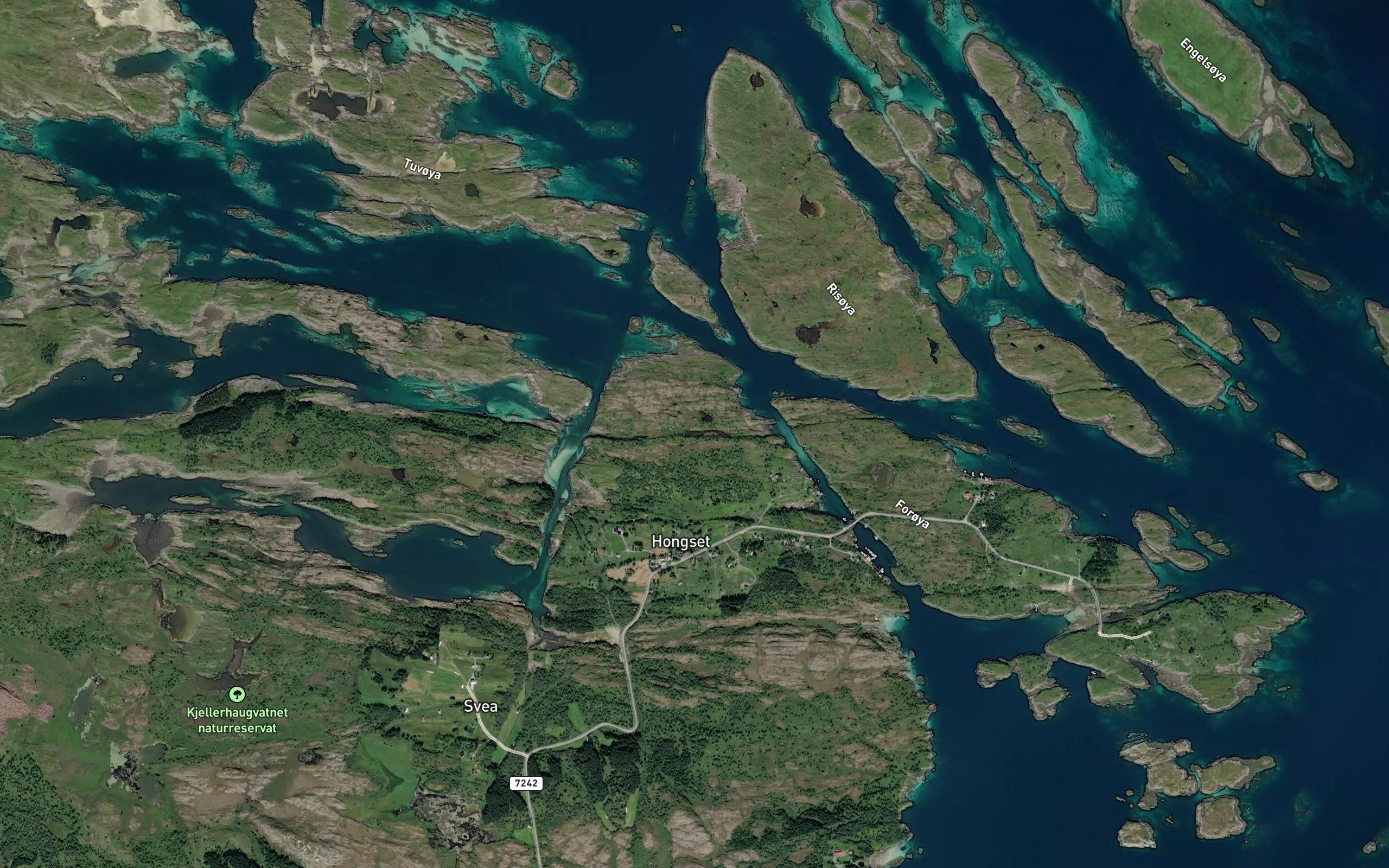 Kattjonna