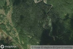 Tatsi Creek