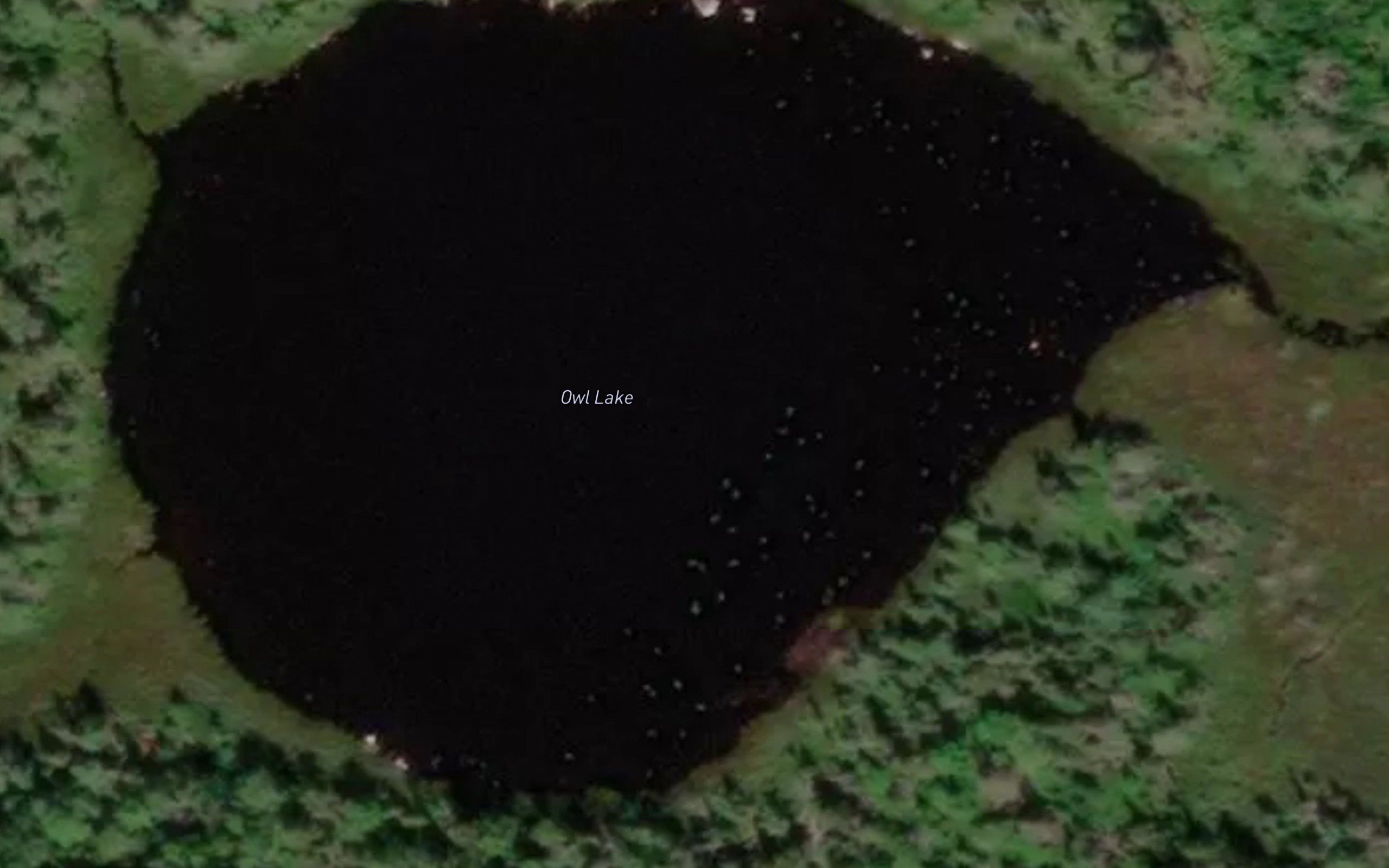 Owl Lake