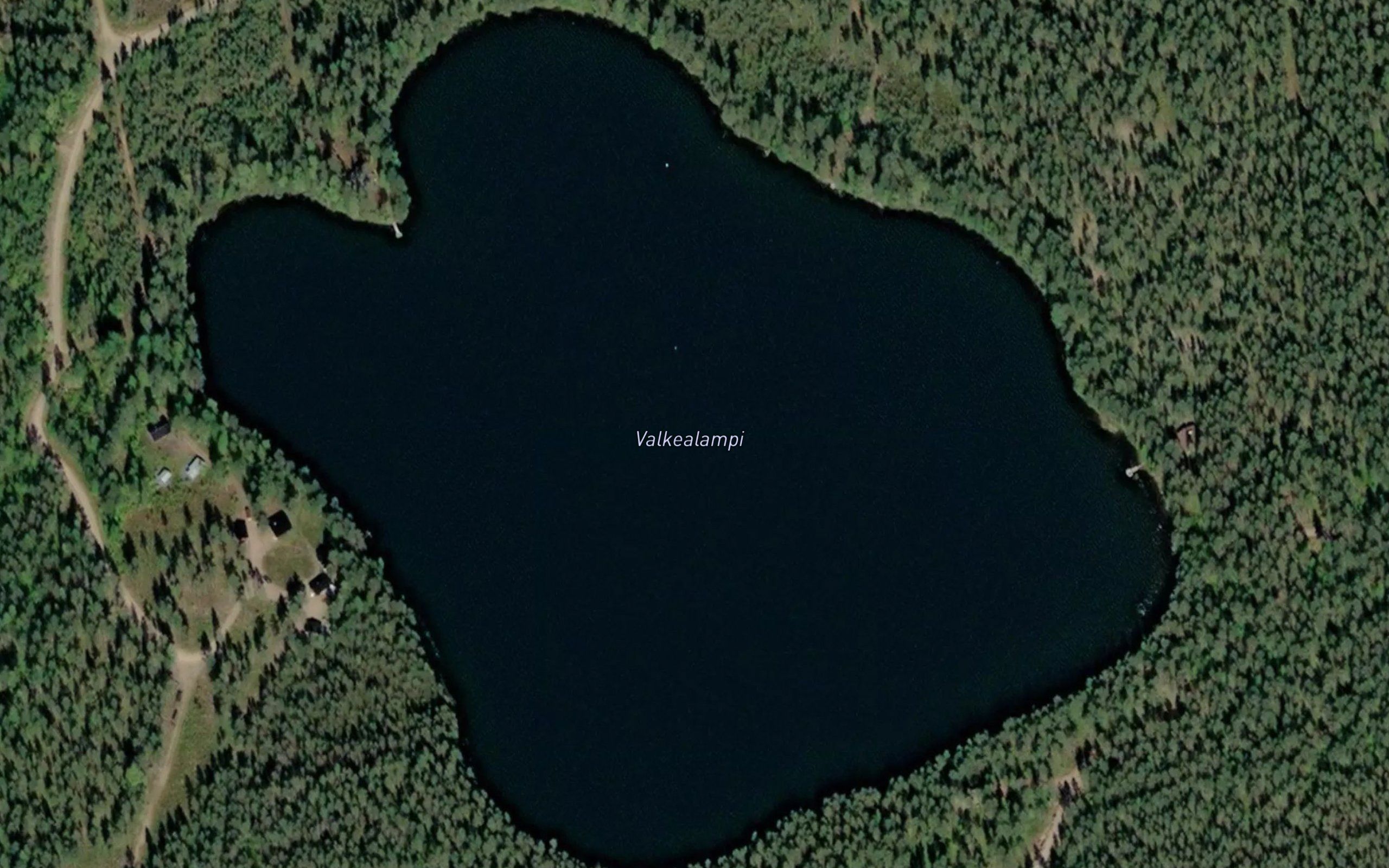 Valkealampi