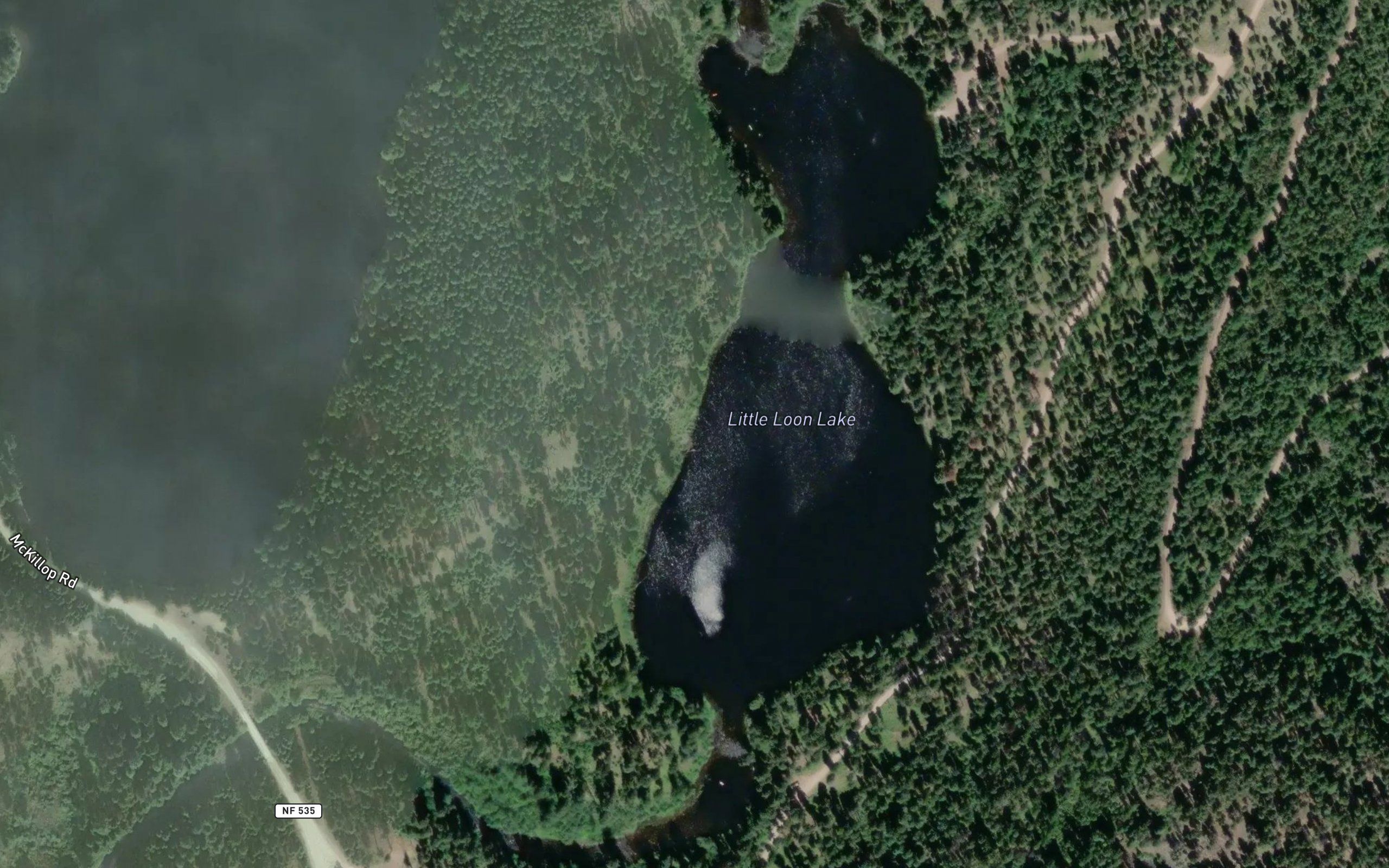Little Loon Lake