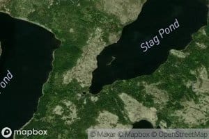 Stag Pond