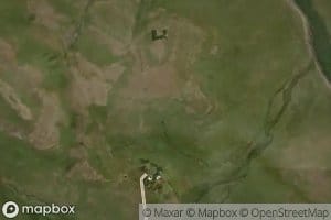 Canada Capon del Leon