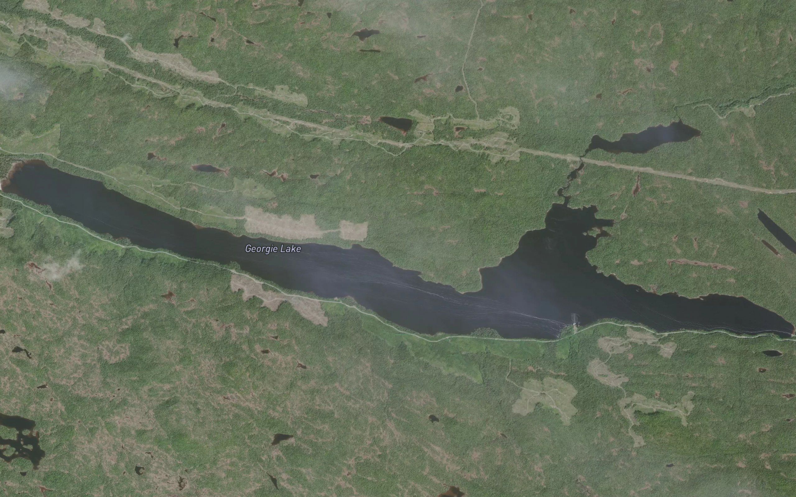 Georgie Lake