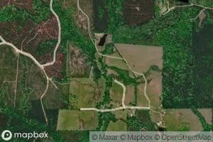 Coontop Creek