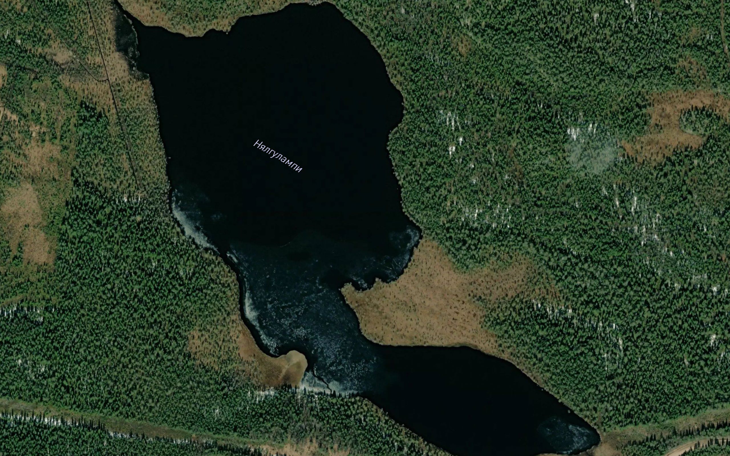 Ozero Pyalgulampi