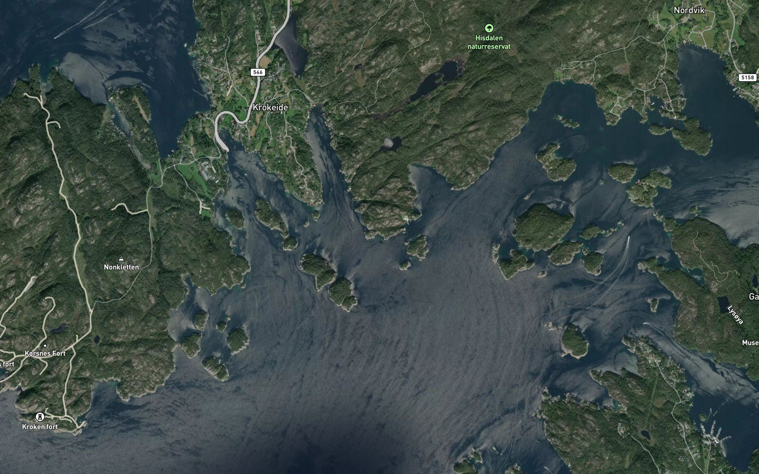 Austnesvika