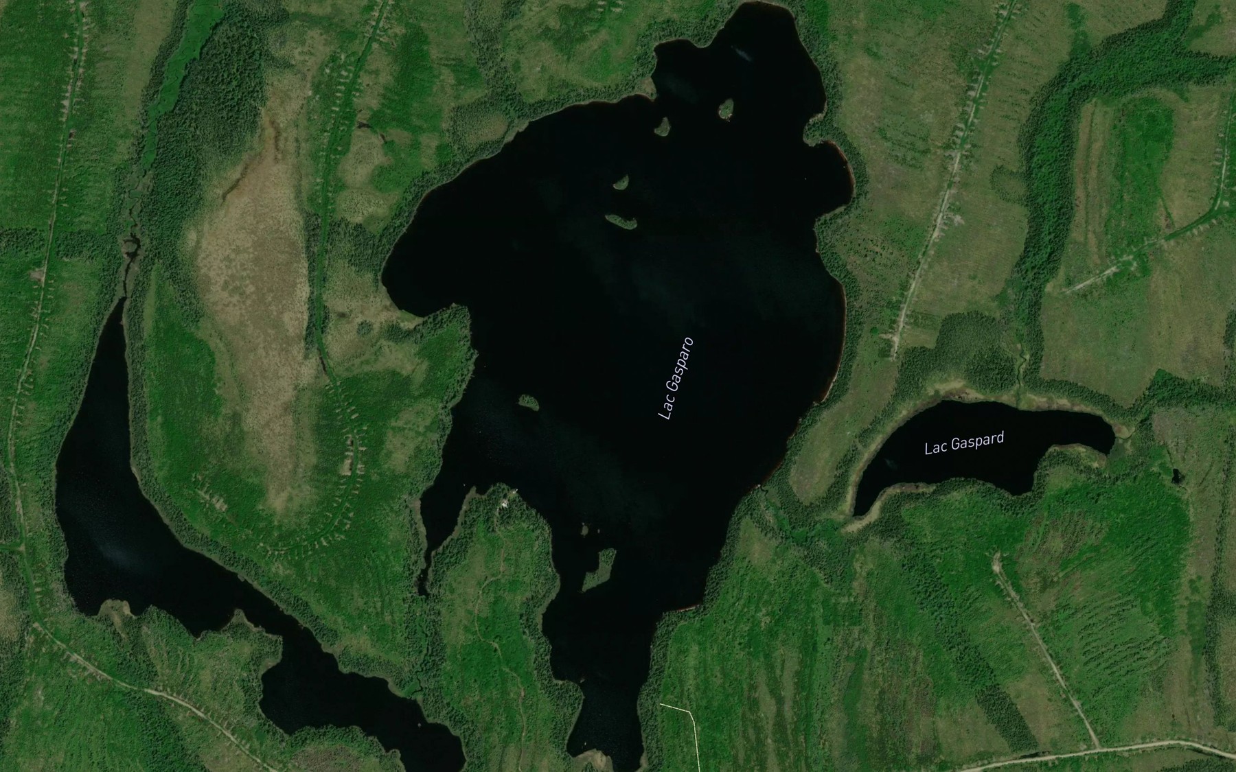Satellite map of the Lac Gasparo