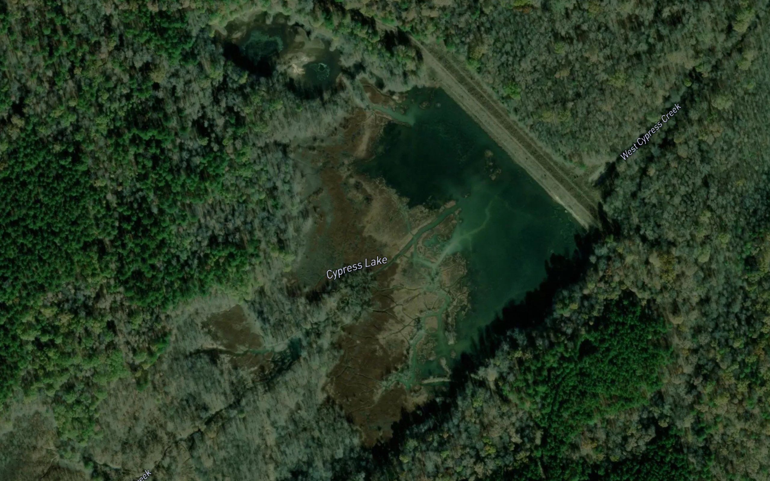 Cypress Lake