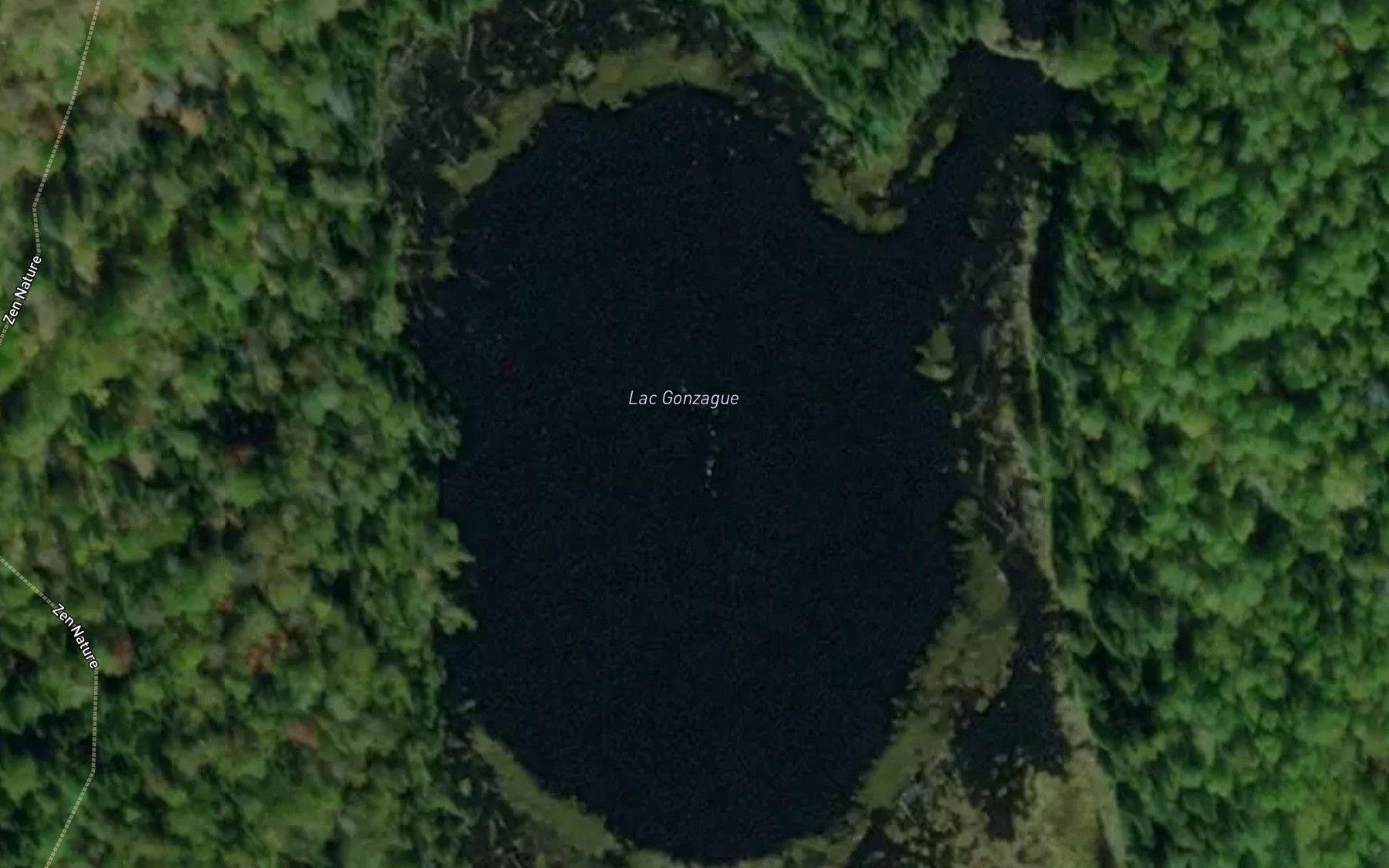 Satellite map of the Lac Gonzague