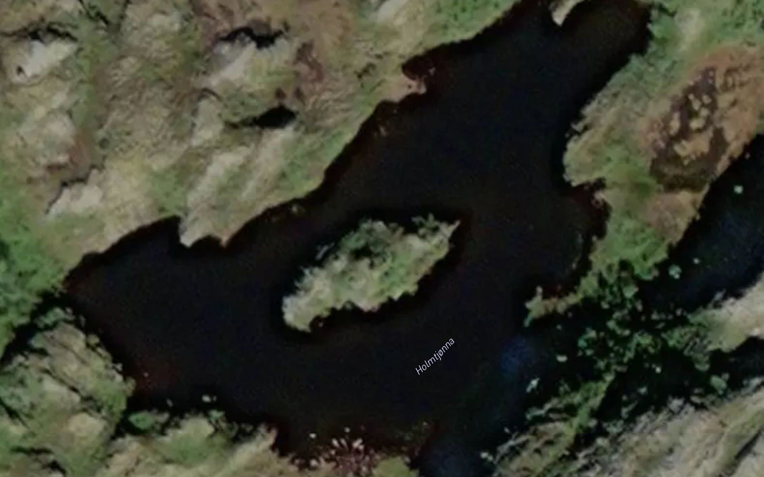 Holmtjorna