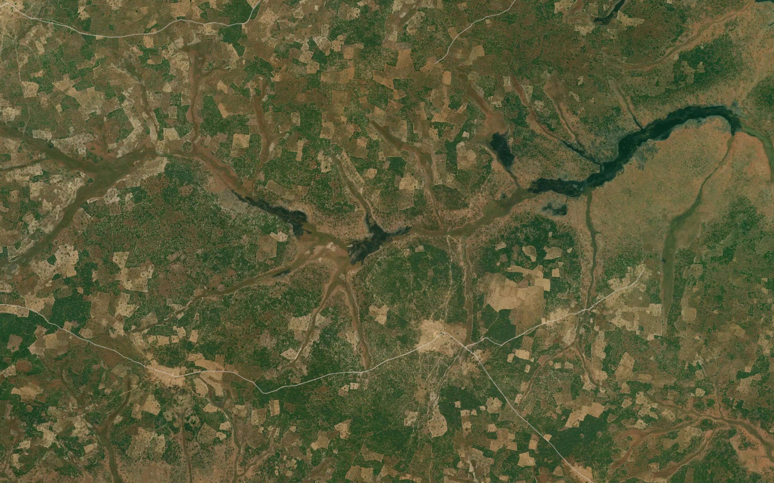 Muala